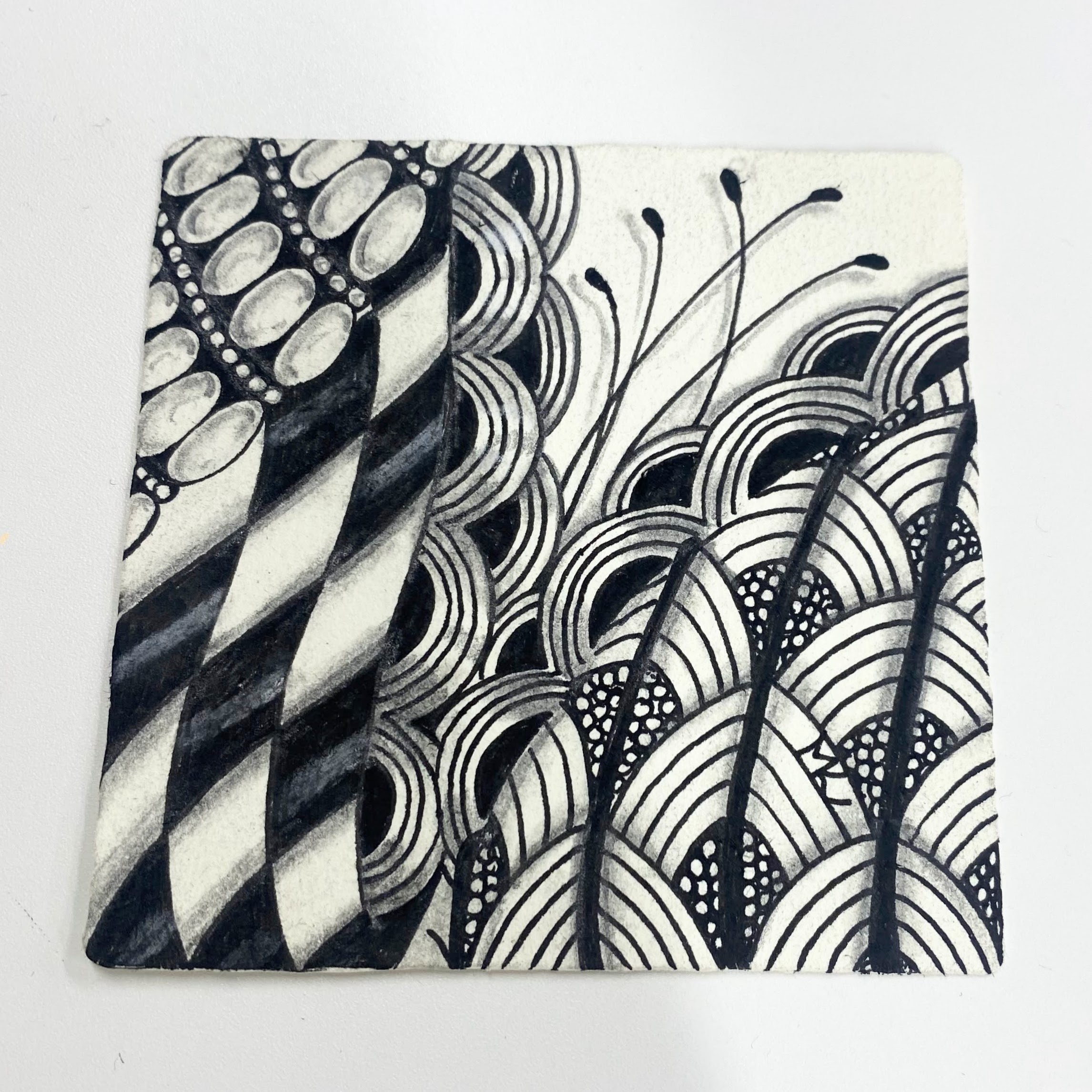 リトルギャラリー】やさしい線がつむぐ、ゼンタングルのひととき